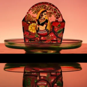 rajasthani coaster